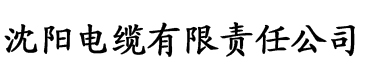 亚洲新大香蕉视频在线播放电缆厂logo